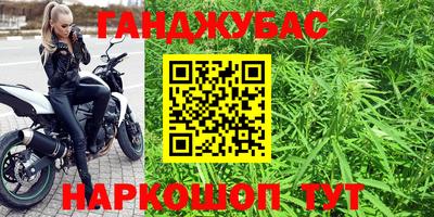 ГАЛЛЮЦИНОГЕННЫЕ ГРИБЫ Сланцы